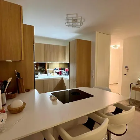 Studio Moderne Avec Terrasse Et Garage Au Centre De - Fr-1-459-207 Saint-Jean-de-Sixt
